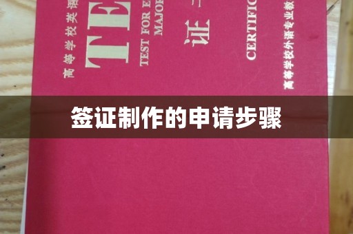 南陵签证制作的申请步骤